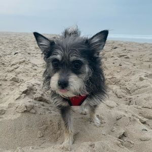 Meet your Posher, Evelyn